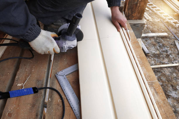 Best Fascia and Soffit Installation  in Troy, IL
